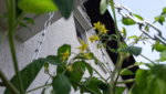 20190611_102418.jpg
