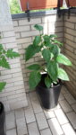 20190611_102444.jpg