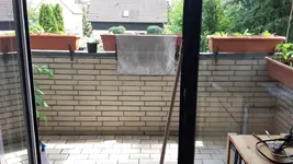20190611_102901.webp