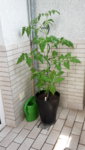 20190611_102351.jpg