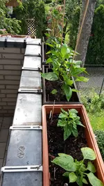 20190611_102958.webp