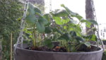 20190611_103011.jpg