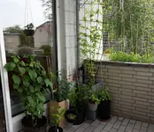 20190611_103106.webp