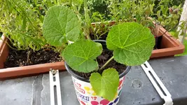 20190611_103137.webp