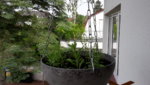 20190611_103214.jpg