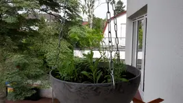 20190611_103214.webp