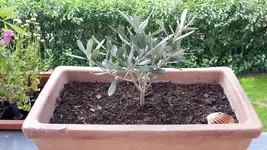 20190611_103247.webp