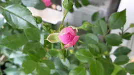 20190609_204544.webp
