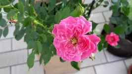 20190611_082818.webp
