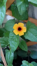 20190611_082835.webp