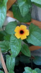 20190611_082835.jpg