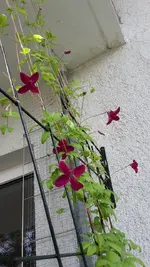 20190611_100652.webp