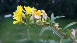 20190609_204424.webp