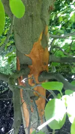 20190609_130144.jpg