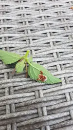 IMG-20190611-WA0022.webp