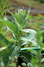image001.webp