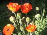 BILD1106.JPG