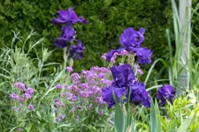 20190608-IMG_1175.webp