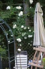 DSC07809.webp