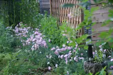DSC07806.webp