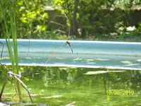 100_7633.webp