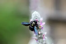 image002.jpg
