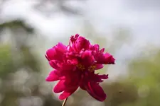 image003.webp