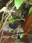 IMG_20190612_115507.jpg