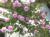 BILD1125.webp