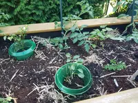 20190612_173531_070.webp