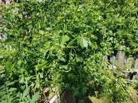 20190612_173444.webp