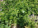 20190612_173444.jpg
