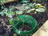20190612_173543.webp
