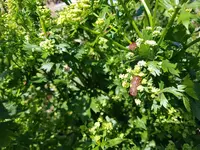 20190612_173502.webp