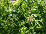 20190612_173502.jpg