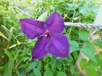 DSCF2294 (2).webp