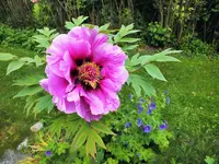 DSCF2291 (2).webp