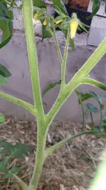 20190613_111116.webp