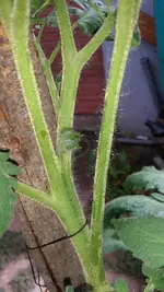20190613_111150.webp