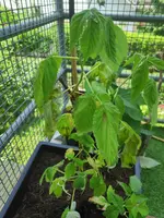 IMG_20190613_122528.webp