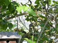 image008.webp