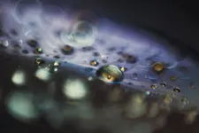 0M3A9578.webp 0M3A9578.webp