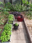 20190613_172815.jpg