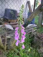 13_06_2019 (6).webp