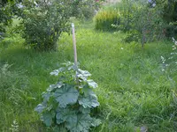 13_06_2019 (2).webp