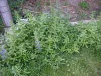 13_06_2019 (16).webp