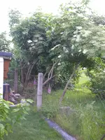 13_06_2019 (22).webp