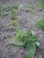 13_06_2019 (24).webp