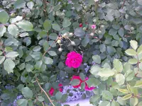 13_06_2019 (14).webp