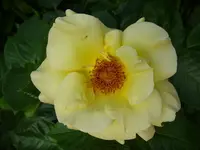 13_06_2019 (37).webp